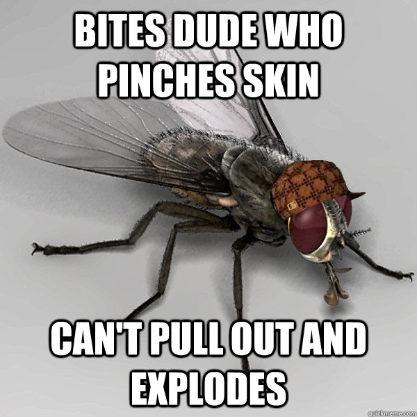 BITES DUDE WHO PINCHES SKIN CAN'T PULL OUT AND EXPLODES  Scumbag Fly