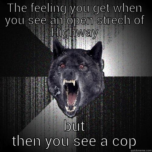 THE FEELING YOU GET WHEN YOU SEE AN OPEN STRECH OF HIGHWAY BUT THEN YOU SEE A COP Insanity Wolf