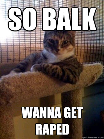 so balk wanna get raped  The Most Interesting Cat in the World