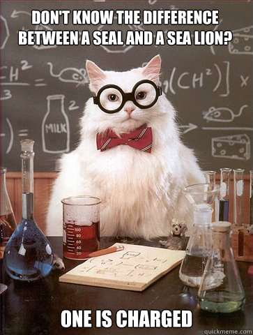 DON'T KNOW THE DIFFERENCE BETWEEN A SEAL AND A SEA LION? ONE IS CHARGED  Chemist cat