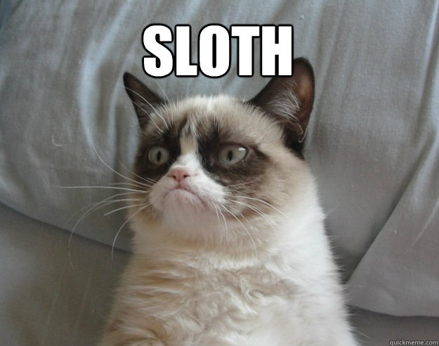 Sloth   