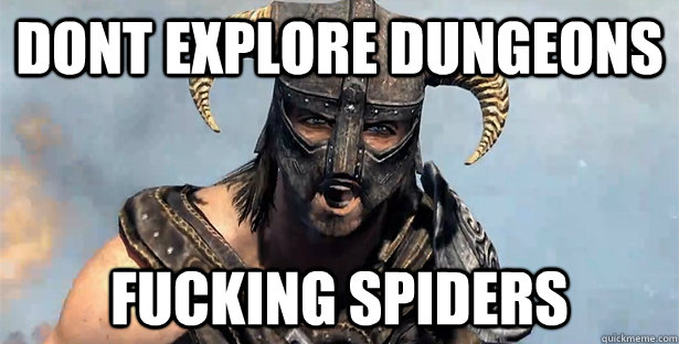 Dont explore dungeons fucking spiders - Dont explore dungeons fucking spiders  Skyrim time wasting