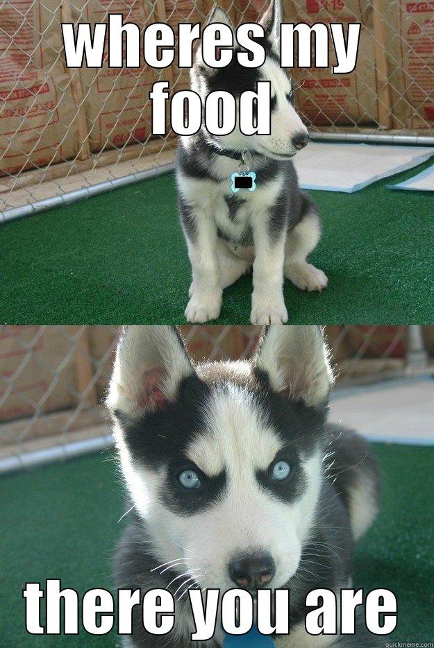 WHERES MY FOOD THERE YOU ARE Insanity puppy