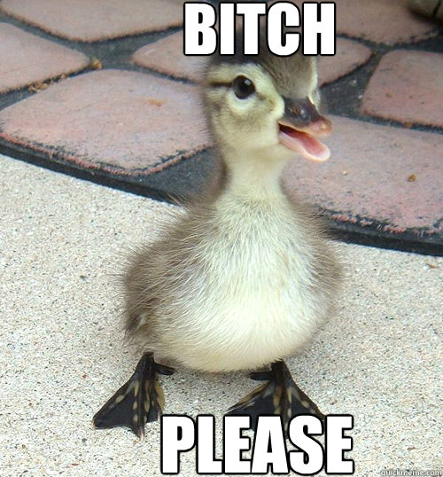 BITCH PLEASE  ugly duckling