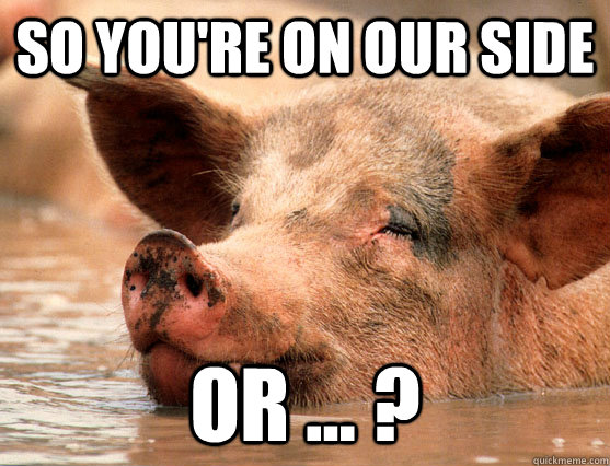 So you're on our side  or ... ?  Stoner Pig