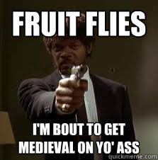 Fruit flies I'm bout to get medieval on yo' ass  Pulp Fiction meme