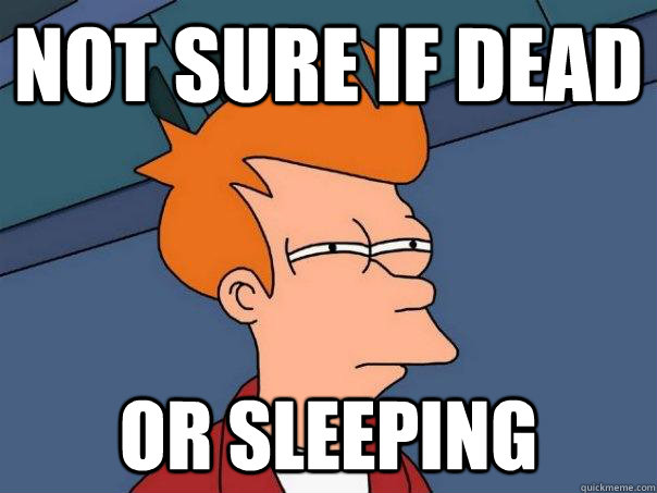 Not sure if dead or sleeping  Futurama Fry