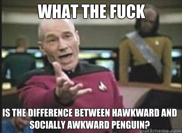 What the fuck is the difference between hawkward and socially awkward penguin?  What the Fuck