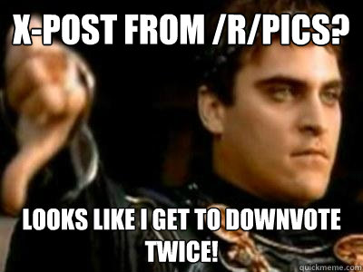 X-Post from /r/pics? Looks like I get to downvote twice!  Downvoting Roman