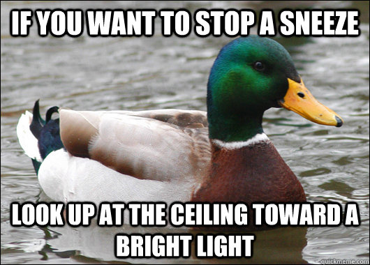 If you want to stop a sneeze Look up at the ceiling toward a bright light  Actual Advice Mallard