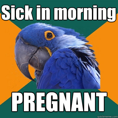 Sick in morning PREGNANT  Paranoid Parrot