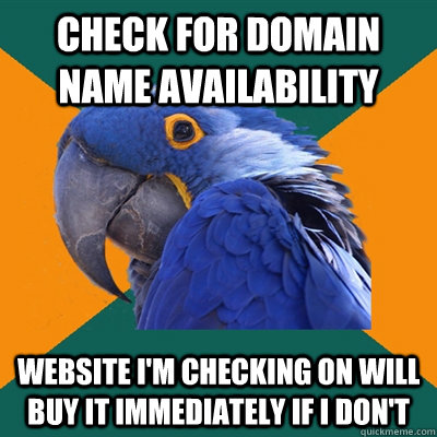 check for domain name availability Website I'm checking on will buy it immediately if I don't  Paranoid Parrot