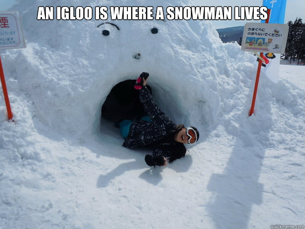 An igloo is where a snowman lives   Igloo