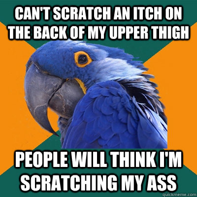 Can't scratch an itch on the back of my upper thigh People will think i'm scratching my ass  Paranoid Parrot