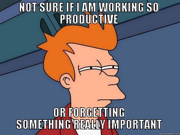 NOT SURE IF I AM WORKING SO PRODUCTIVE OR FORGETTING SOMETHING REALLY IMPORTANT Futurama Fry