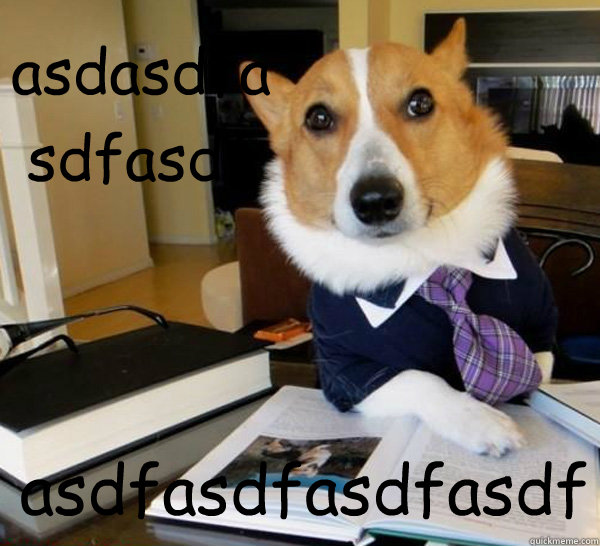 asdasdfasdfasdf asdfasdfasdfasdf - asdasdfasdfasdf asdfasdfasdfasdf  Lawyer Dog