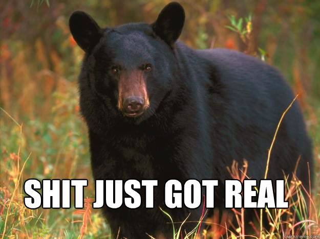 SHIT JUST GOT REAL  Black Bear
