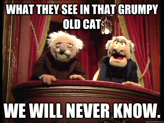 What they see in that grumpy old cat we will never know.  Muppets Old men