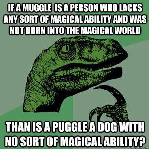 If a muggle is a person who lacks any sort of magical 