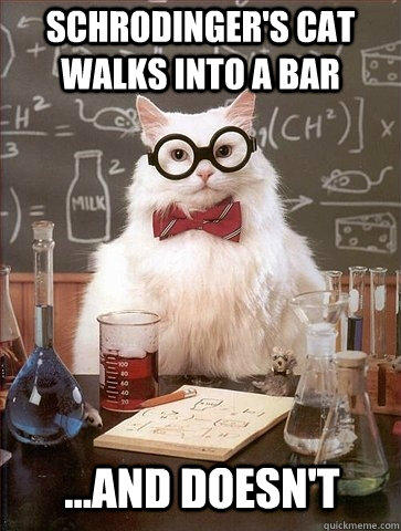 Schrodinger's Cat walks into a bar ...and doesn't  Chemistry Cat