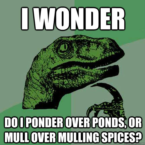 i wonder do i ponder over ponds, or mull over mulling spices? - i wonder do i ponder over ponds, or mull over mulling spices?  Philosoraptor