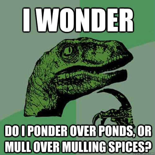 i wonder do i ponder over ponds, or mull over mulling spices?  Philosoraptor