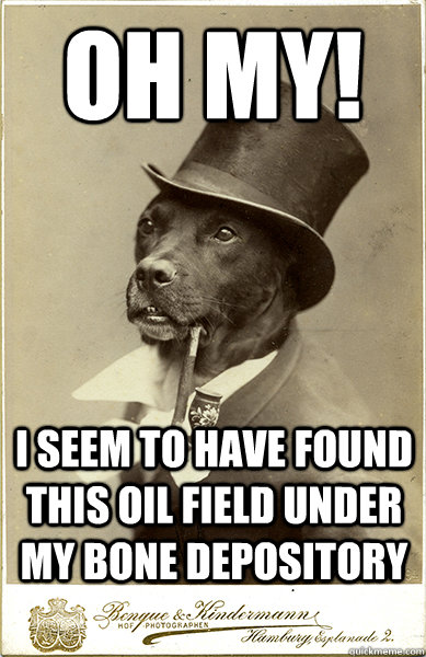 Oh my! I seem to have found this oil field under my bone depository - Oh my! I seem to have found this oil field under my bone depository  Old Money Dog