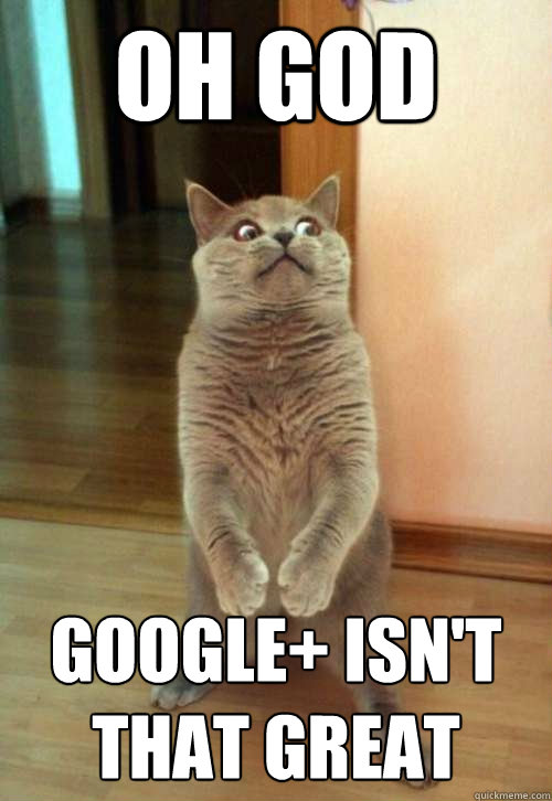 Oh god Google+ isn't that great  Horrorcat