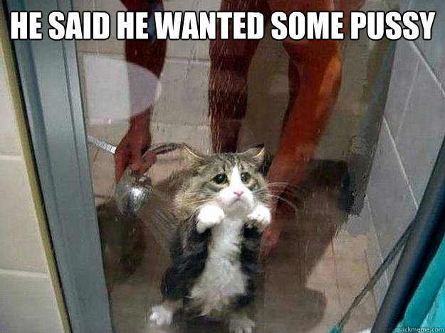 he said he wanted some pussy  Shower kitty