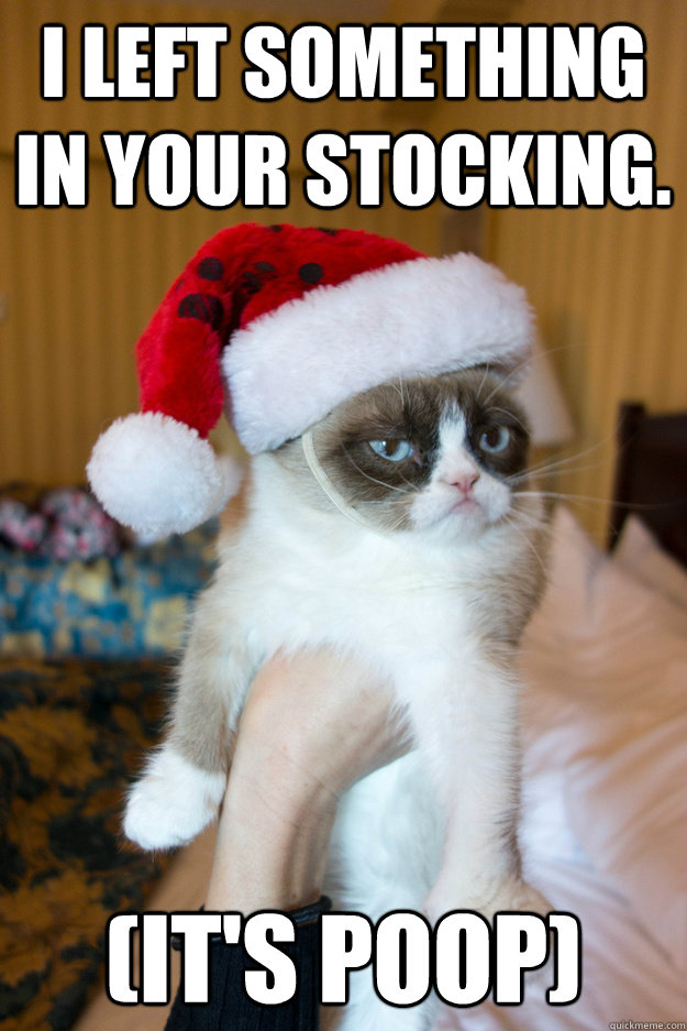 I left something in your stocking. (It's Poop)  Grumpy xmas