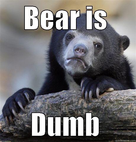 BEAR IS DUMB Confession Bear