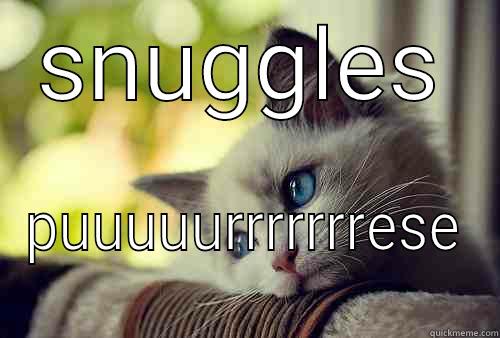 SNUGGLES PUUUUURRRRRRRESE First World Problems Cat