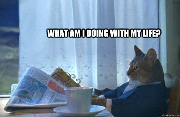 What am I doing with my life?  Sophisticated Cat