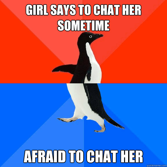 Girl says to chat her sometime Afraid to chat her  Socially Awesome Awkward Penguin