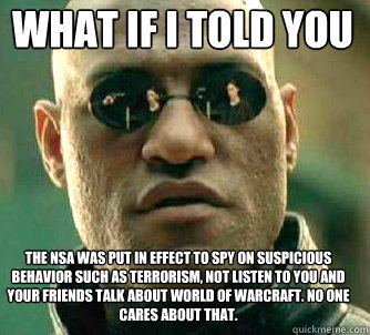 what if i told you The nsa was put in effect to spy on suspicious behavior such as terrorism, not listen to you and your friends talk about world of warcraft. No one cares about that.  Matrix Morpheus