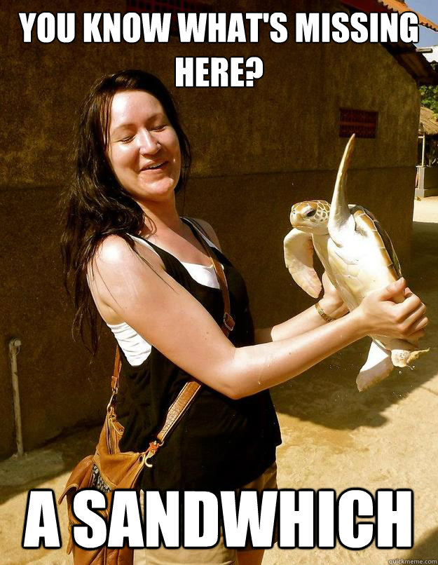you know what's missing here? a sandwhich  Domestic Violence Turtle
