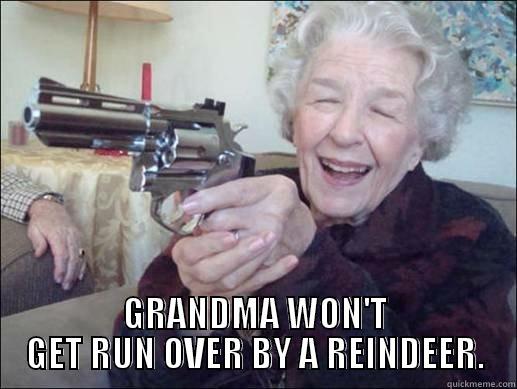  GRANDMA WON'T GET RUN OVER BY A REINDEER. Misc