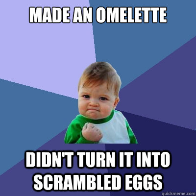 Made an omelette didn't turn it into scrambled eggs  Success Kid