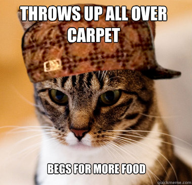 Throws up all over carpet begs for more food  Scumbag Cat