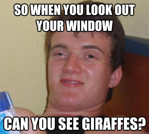 so when you look out your window can you see giraffes?  10 Guy