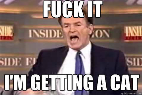 fuck it I'm getting a cat - fuck it I'm getting a cat  Fuck It Bill OReilly