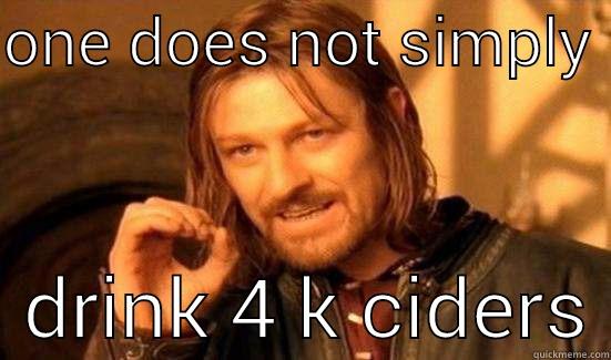 ONE DOES NOT SIMPLY    DRINK 4 K CIDERS Boromir