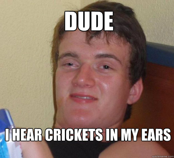 DUDE

 I hear crickets in my ears  Stoner Stanley
