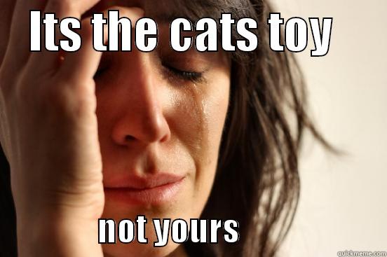    ITS THE CATS TOY                       NOT YOURS                       First World Problems