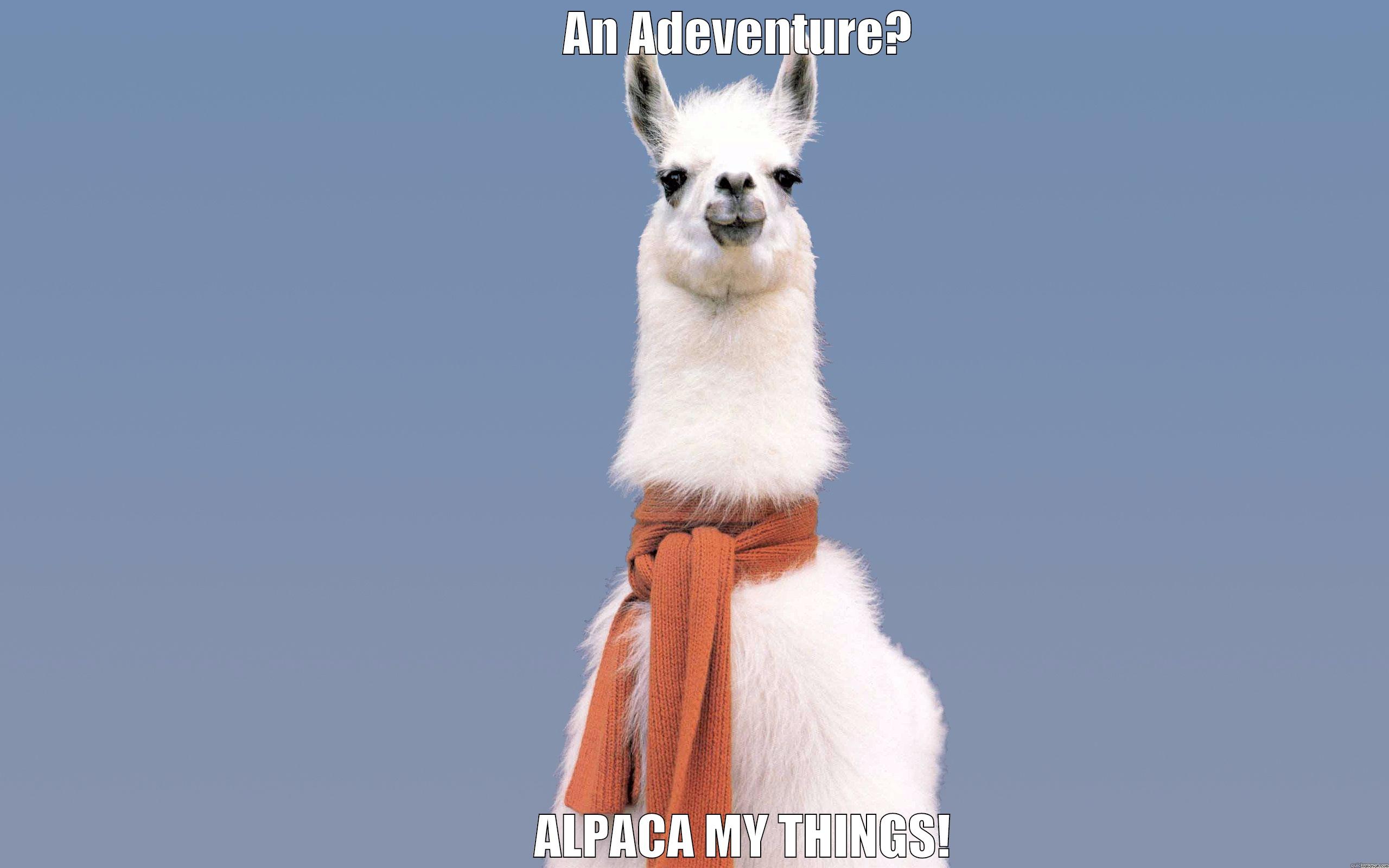           AN ADEVENTURE?            ALPACA MY THINGS! Misc