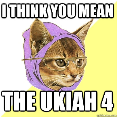 I THINK YOU MEAN THE UKIAH 4  Hipster Kitty
