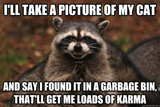 I'll Take a picture of my cat and say i found it in a garbage bin, that'll get me loads of karma  Evil Plotting Raccoon