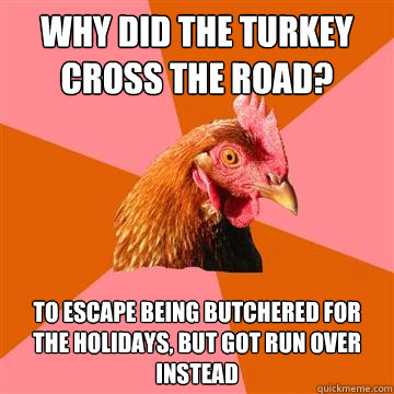 Why did the turkey cross the road? To escape being butchered for the holidays, but got run over instead  Anti-Joke Chicken