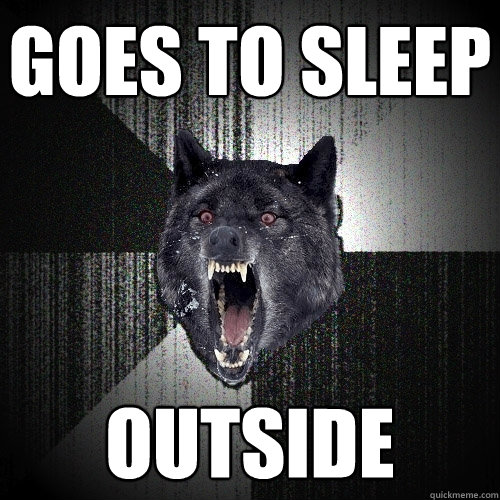 goes to sleep outside  Insanity Wolf