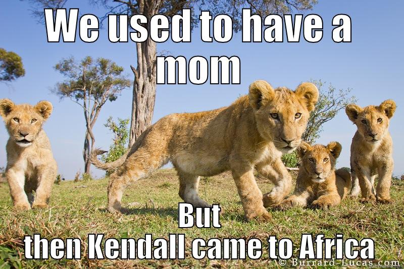 WE USED TO HAVE A MOM BUT THEN KENDALL CAME TO AFRICA Misc